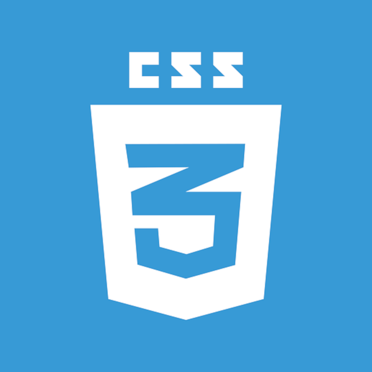 CSS logo